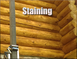  Hollister, North Carolina Log Home Staining
